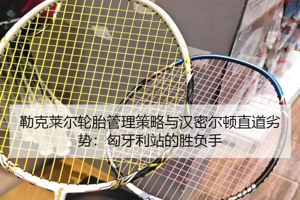 lei-ke-lai-er-lun-tai-guan-li-ce-lve-yu-han-mi-er-dun-zhi-dao-lie-shi-xiong-ya-li-zhan-de-sheng-fu-shou-2-734.jpg