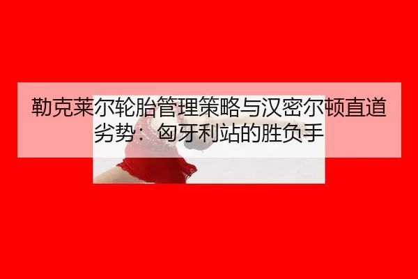 lei-ke-lai-er-lun-tai-guan-li-ce-lve-yu-han-mi-er-dun-zhi-dao-lie-shi-xiong-ya-li-zhan-de-sheng-fu-shou-3-419.jpg