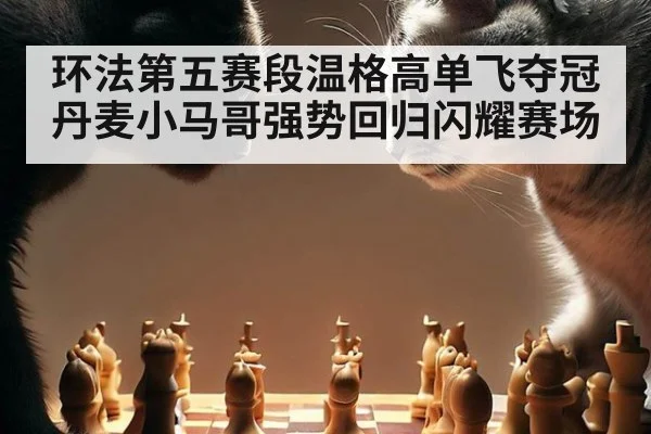 环法第五赛段温格高单飞夺冠 丹麦小马哥强势回归闪耀赛场